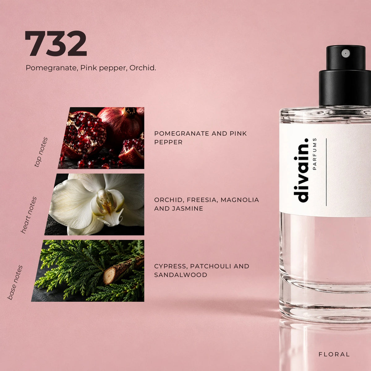divain.732 fragrance pyramid