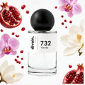 divain-732 notas