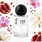 divain-732 notas