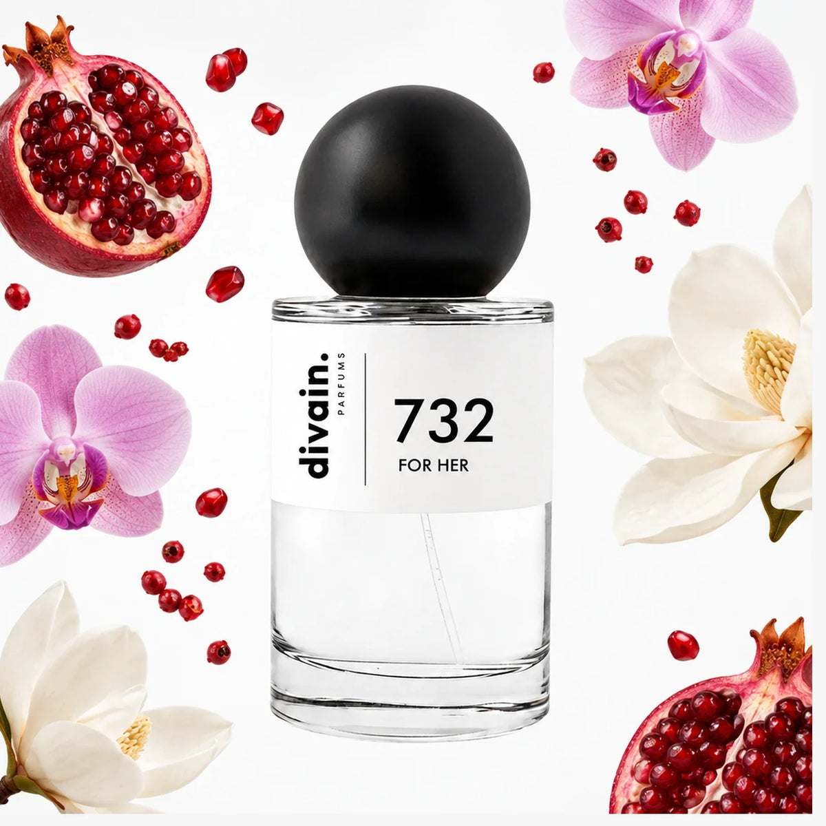 divain-732 notas