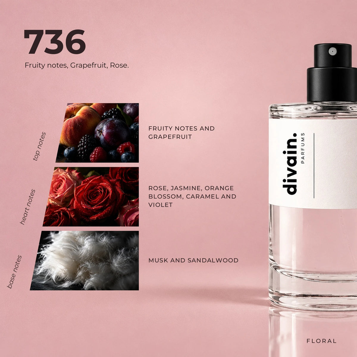 divain.736 fragrance pyramid