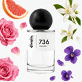 divain-736 notas