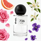 divain-736 notas