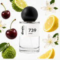 divain-739 notas