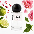 divain-747 notas