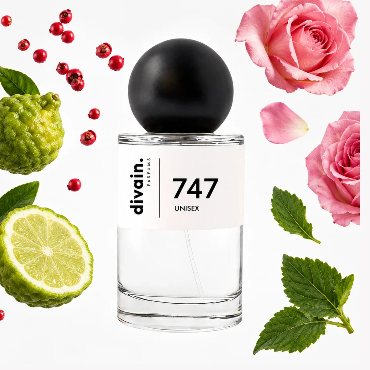 divain-747 notas