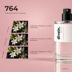 divain.764 fragrance pyramid