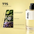 divain.775 fragrance pyramid