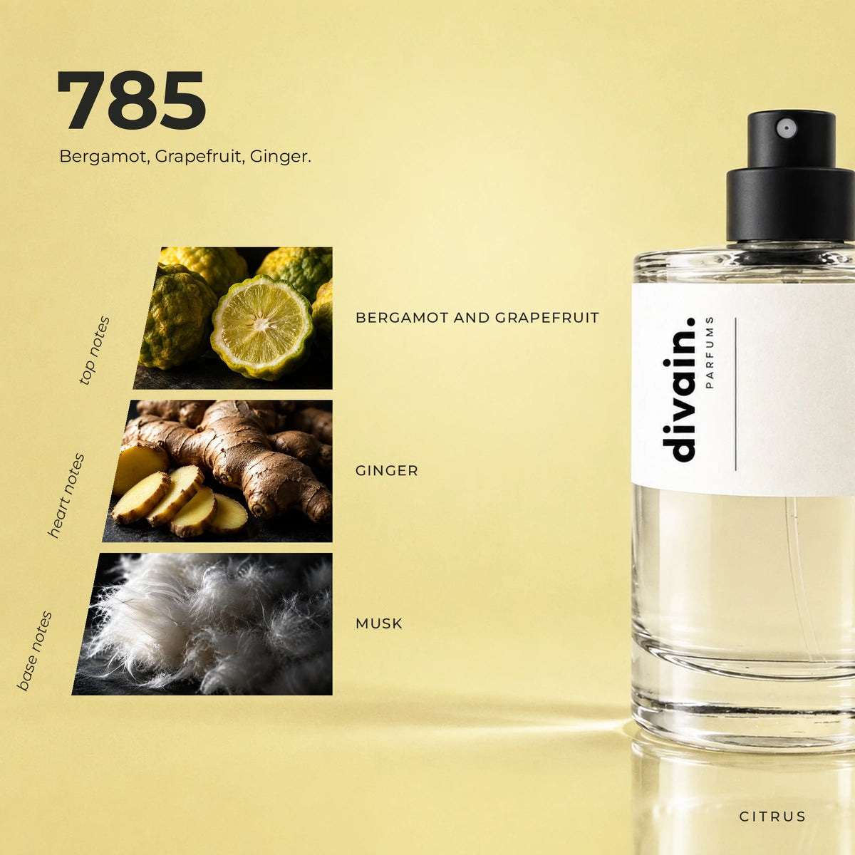 divain.785 fragrance pyramid