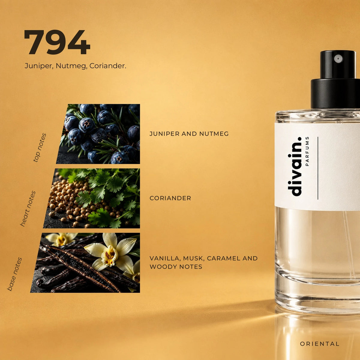 divain.794 fragrance pyramid