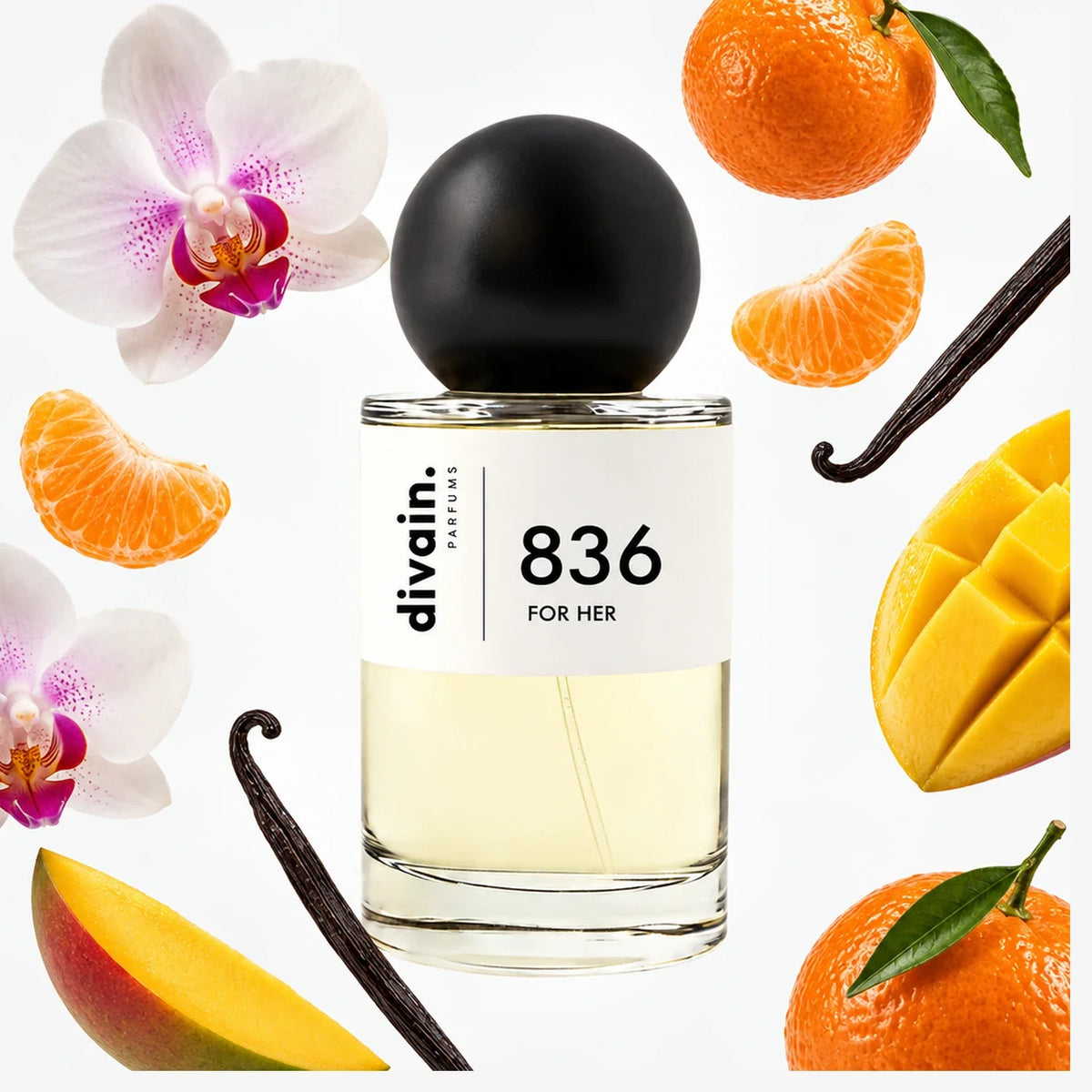 divain-836 notas