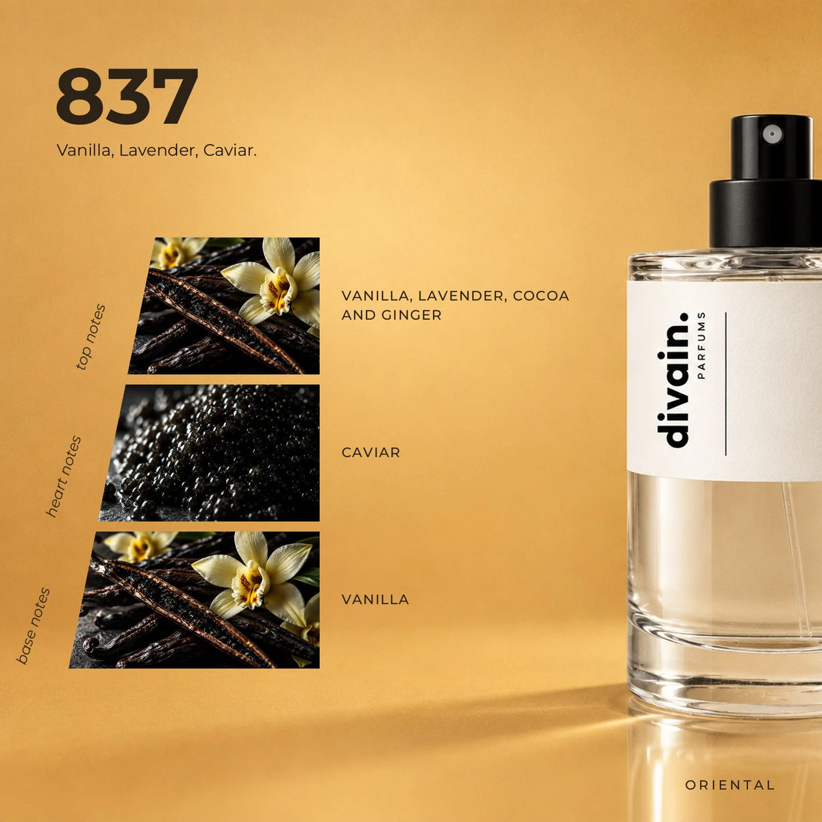 divain.837 fragrance pyramid