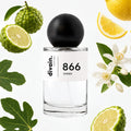 divain-866 notas