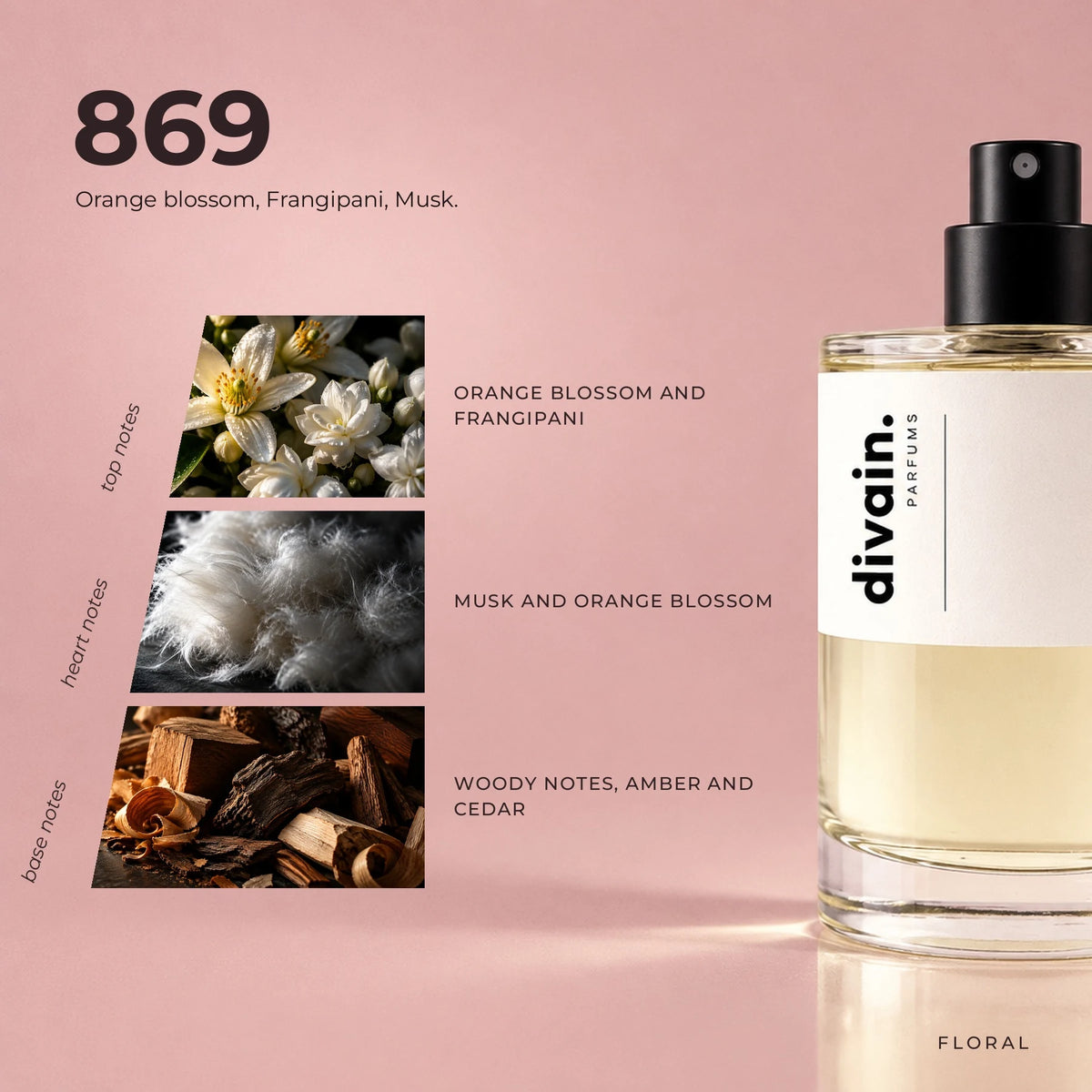divain.869 fragrance pyramid