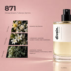 divain.871 fragrance pyramid