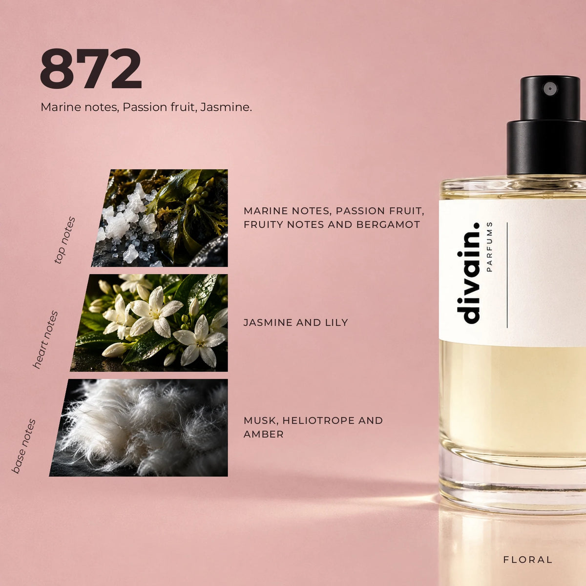 divain.872 fragrance pyramid