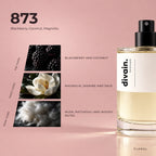divain.873 fragrance pyramid