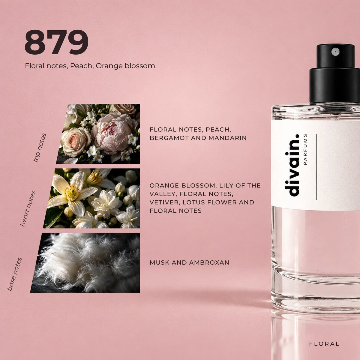 divain.879 fragrance pyramid