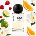 divain-880 notas
