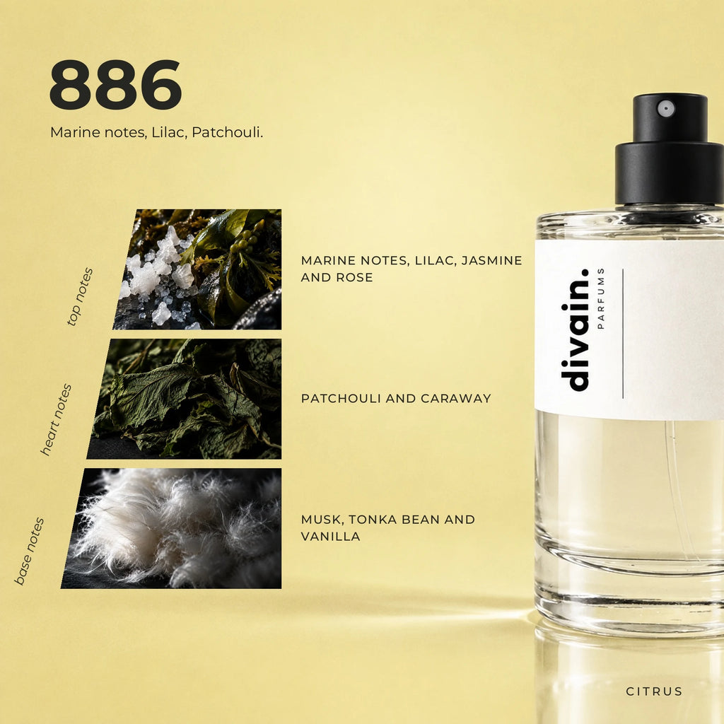 divain.886 fragrance pyramid