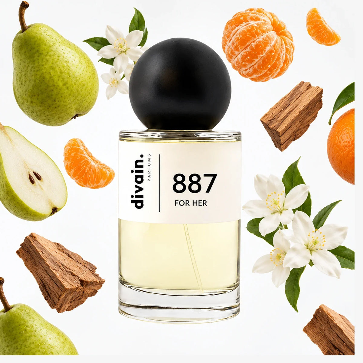 divain-887 notas