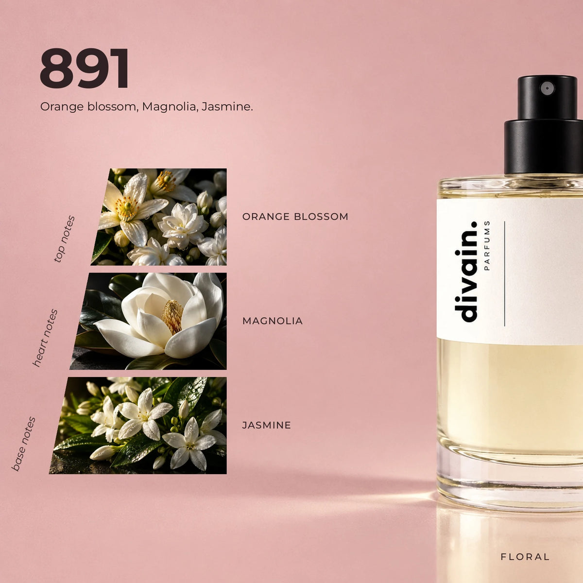 divain.891 fragrance pyramid