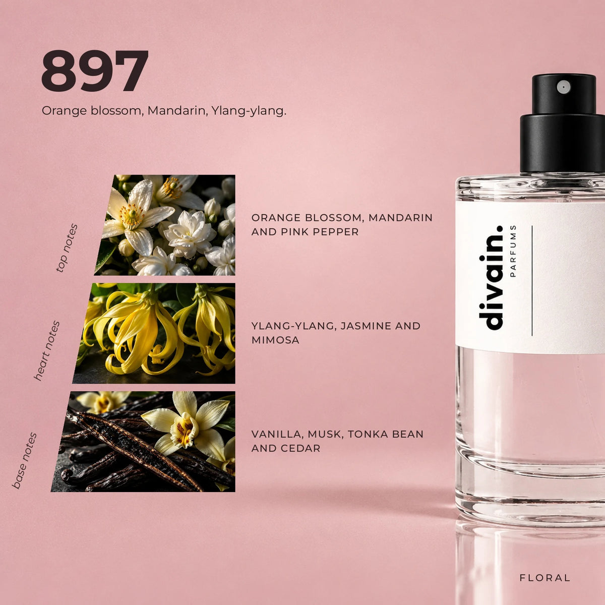 divain.897 fragrance pyramid