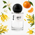 divain-897 notas