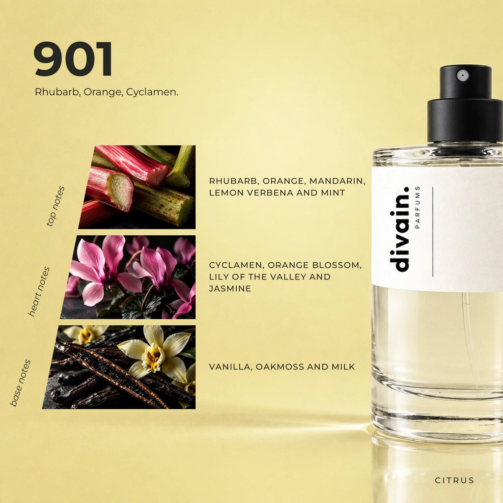 divain.901 fragrance pyramid