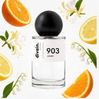 divain-903 notas
