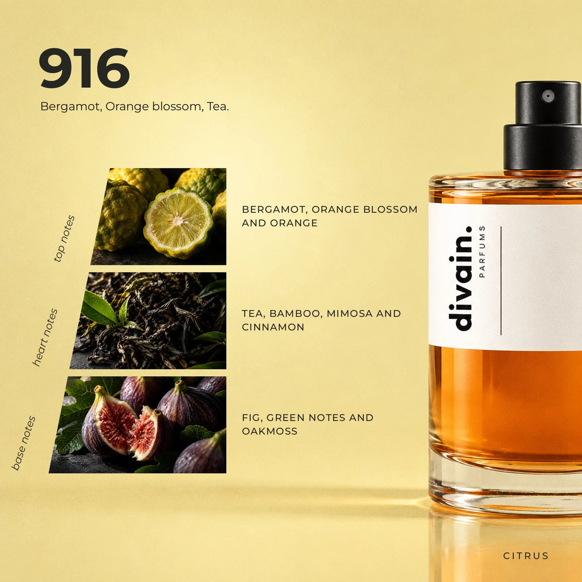 divain.916 fragrance pyramid