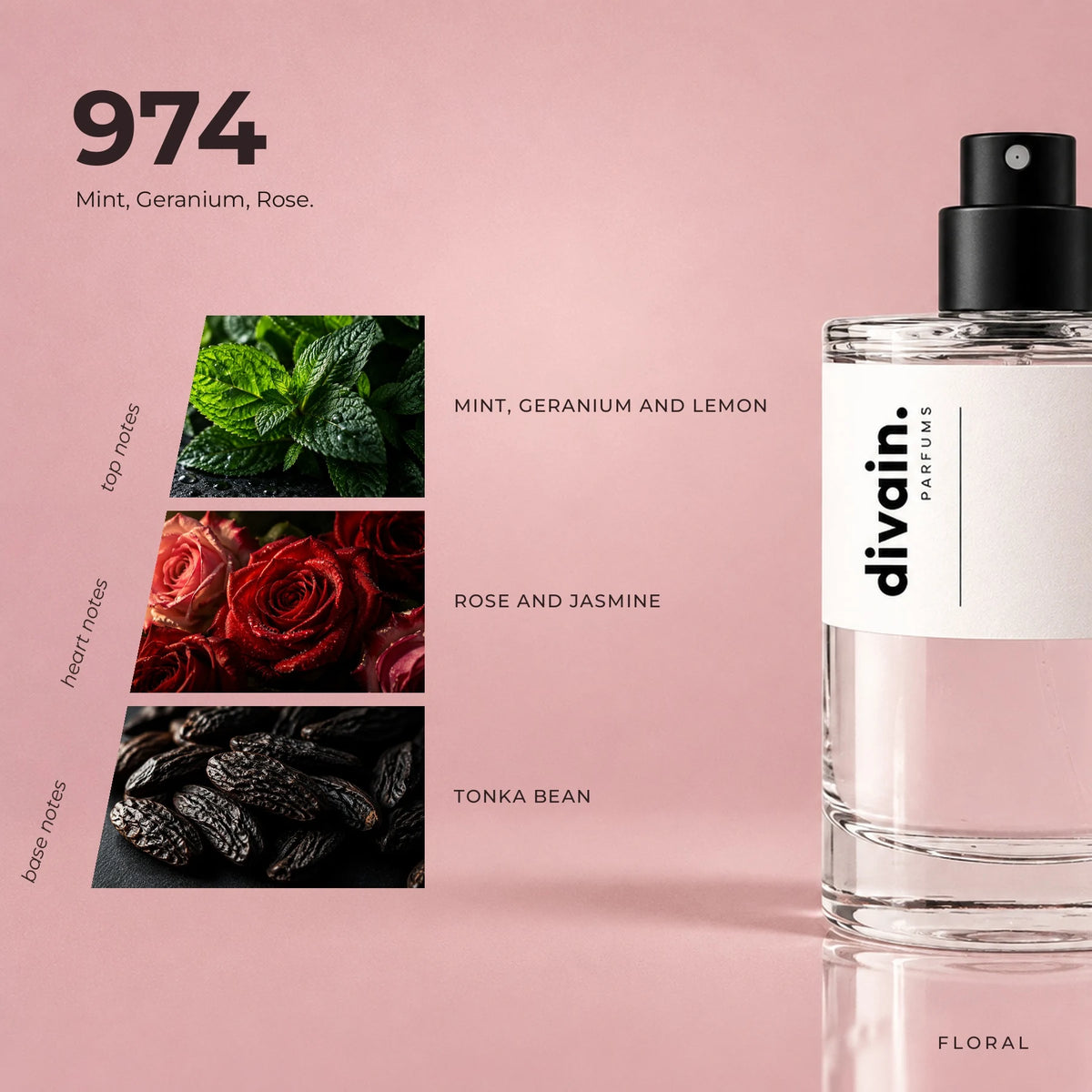 divain-974-nitrogen fragrance pyramid
