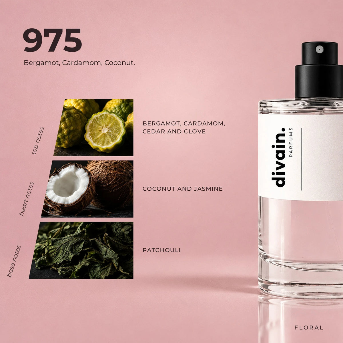 divain-975-oxygen fragrance pyramid