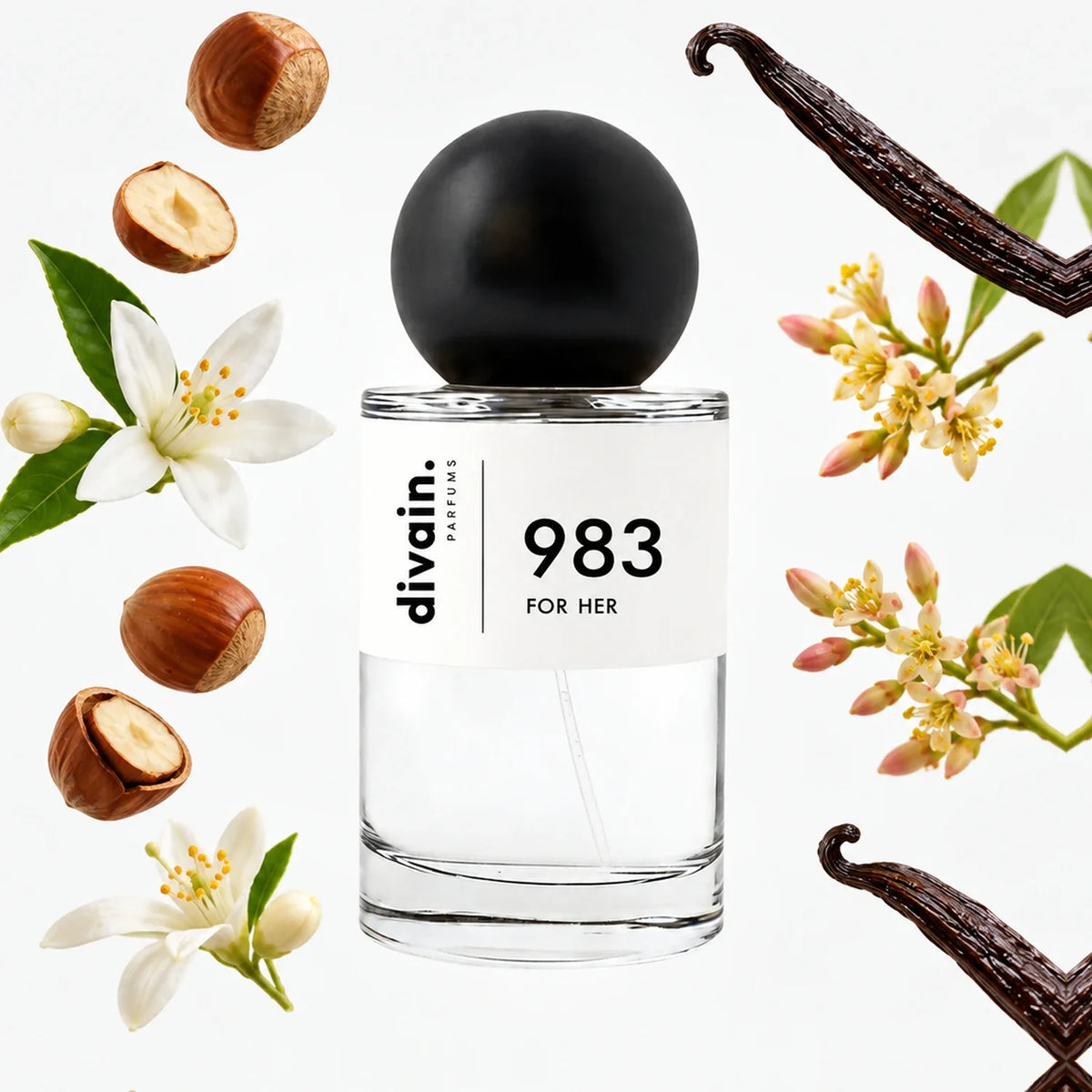 divain-983 notas