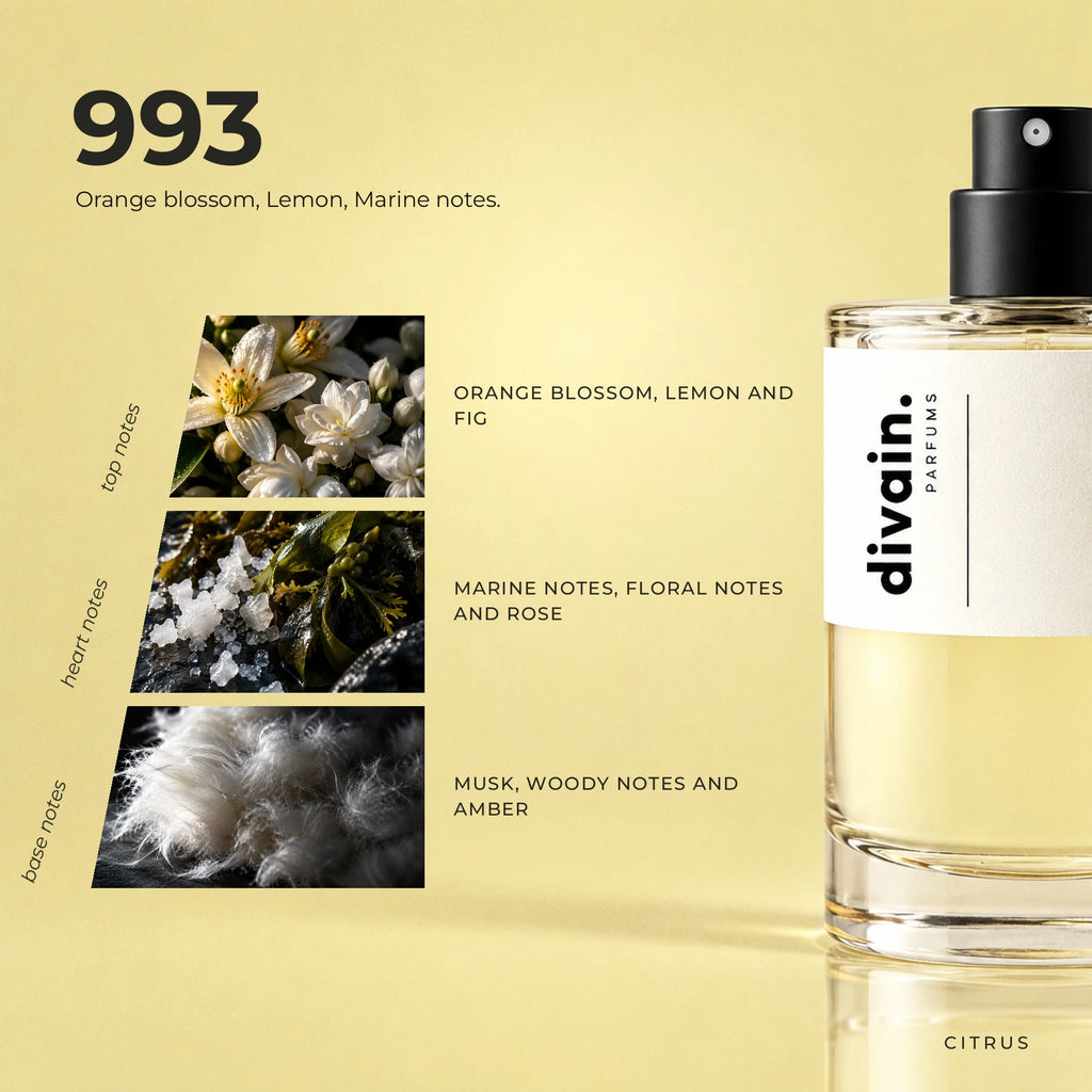 divain.993 fragrance pyramid