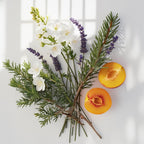 Olfactory notes of the perfume that combine the aromatic freshness of rosemary and lavender with the sweet and juicy touch of peach, softened by the delicacy of jasmine.