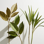 Patchouli and vetiver representing the olfactory notes of the perfume.