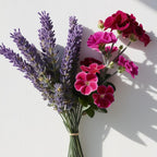 Geranium and lavender representing the olfactory notes of the perfume.