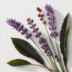 Pink pepper and lavender representing the olfactory notes of the perfume.