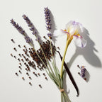 Lavender, iris and black pepper representing the olfactory notes of the perfume.
