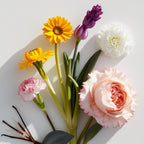 Olfactory notes of the perfume with velvety rose, spiced carnation, soft vanilla and a touch of spring flowers.