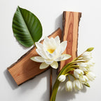 Olfactory notes of the perfume with soft woods, white lotus and a delicate green touch.