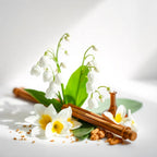 Scent notes of the perfume with cinnamon and sesame