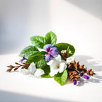 Violet leaves and white musk representing the olfactory notes of the perfume.