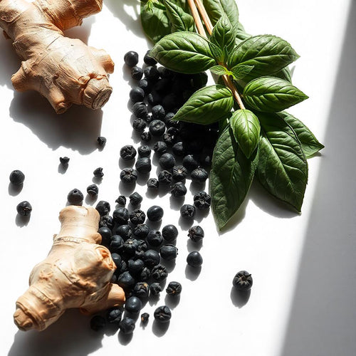 Ginger, basil, and pepper represent the olfactory notes of the perfume.