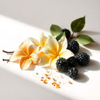 Black raspberry and mandarin leaves representing the olfactory notes of the perfume.