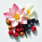 Freesia, almond, blackberries and raspberries representing the olfactory notes of the perfume.