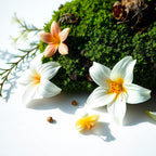 Lily, bergamot and moss representing the olfactory notes of the perfume.