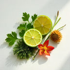 Lime, narcissus and coriander representing the olfactory notes of the perfume.