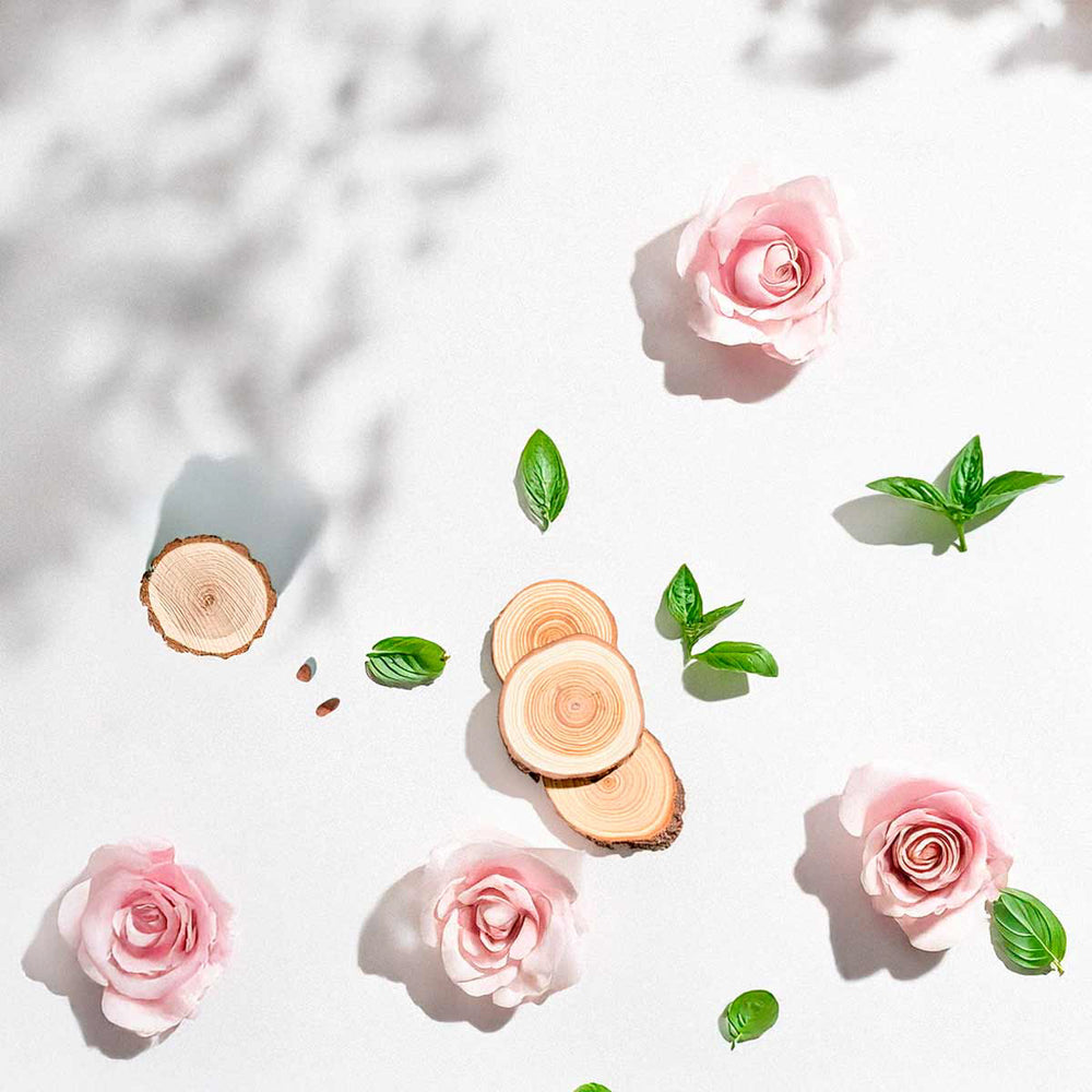 Floral and woody olfactory notes with roses, green leaves and wood